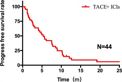 Efficacy of Sorafenib Combined With Immunotherapy Following Transarterial Chemoembolization for Advanced Hepatocellular Carcinoma: A Propensity Score Analysis